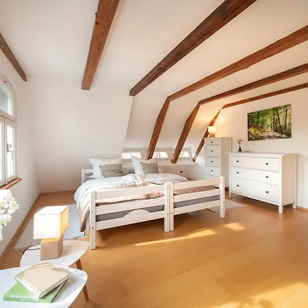 Bezaubernde Dachwohnung In Historischem Hopfenhaus Daire *